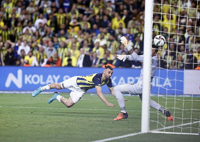 荷媒：范黑克不想与布莱顿续约，热刺和纽卡在关注他的情况